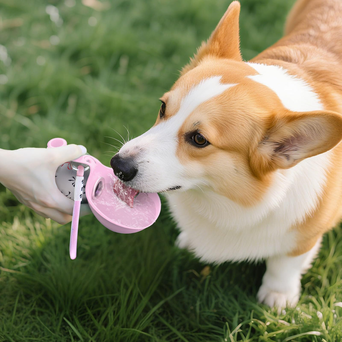 2-in-1 Portable Dog Water Bottle with Food Feeder