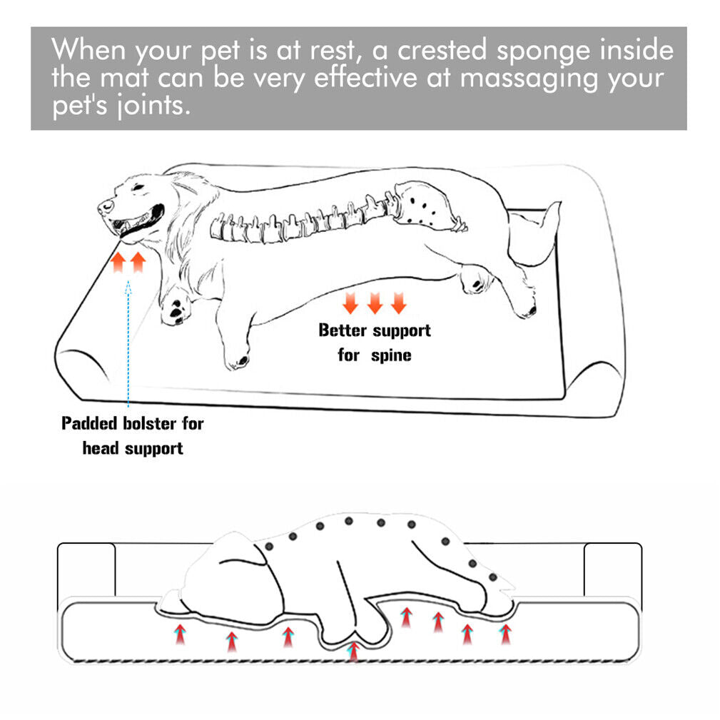 Orthopedic Pet Mattress & Dog Bed with Washable Cover