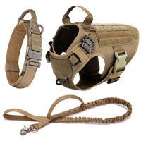 Heavy-Duty Tactical Pet Harness & Leash Set