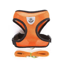 Adjustable Pet Harness & Lead Leash Set