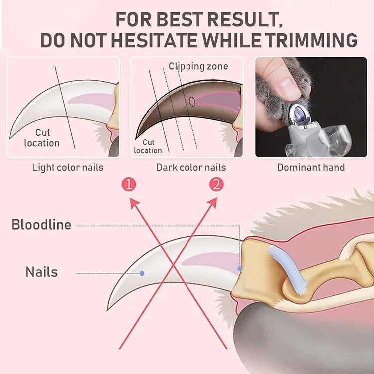 Pet Nail Clipper & Scissors with professional LED Light