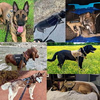 Heavy-Duty Tactical Pet Harness & Leash Set
