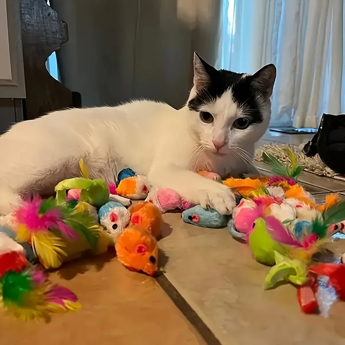 Multi-Piece Cat Toys Mixed Variety Pack