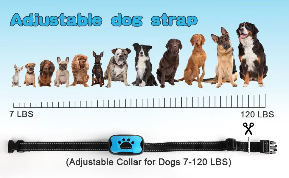 Ultrasonic Anti-Barking Dog Training Device - Handheld Trainer