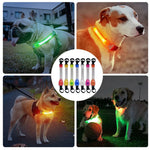 Waterproof LED Light-Up Dog Collar - Night Safety Collar