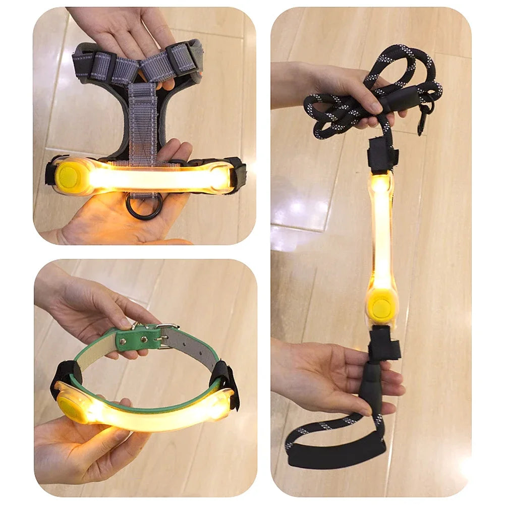 Waterproof LED Light-Up Dog Collar - Night Safety Collar
