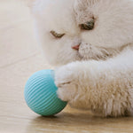 Interactive Magic Roller Ball Toy - Automatic Bouncing Dog Toy