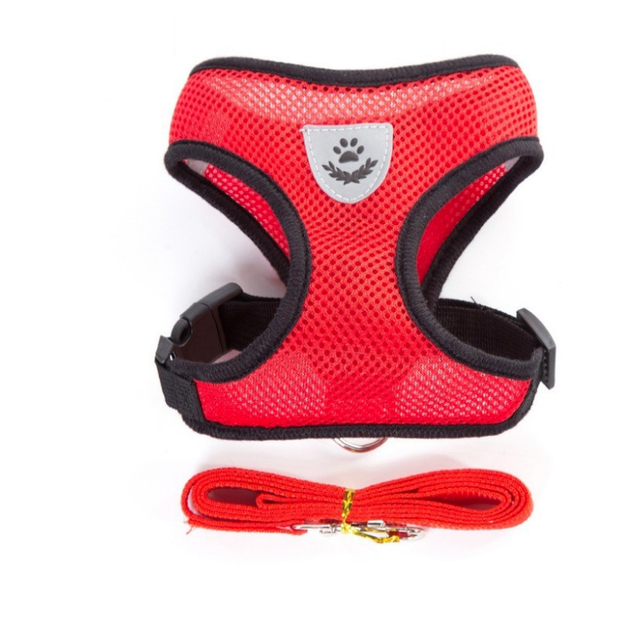 Adjustable Pet Harness & Lead Leash Set