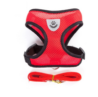Adjustable Pet Harness & Lead Leash Set