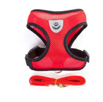 Adjustable Pet Harness & Lead Leash Set