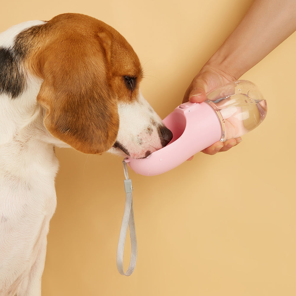 Portable Pet Water Bottle – Leak-Proof Travel Bowl (550ml)