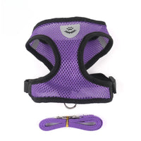 Adjustable Pet Harness & Lead Leash Set