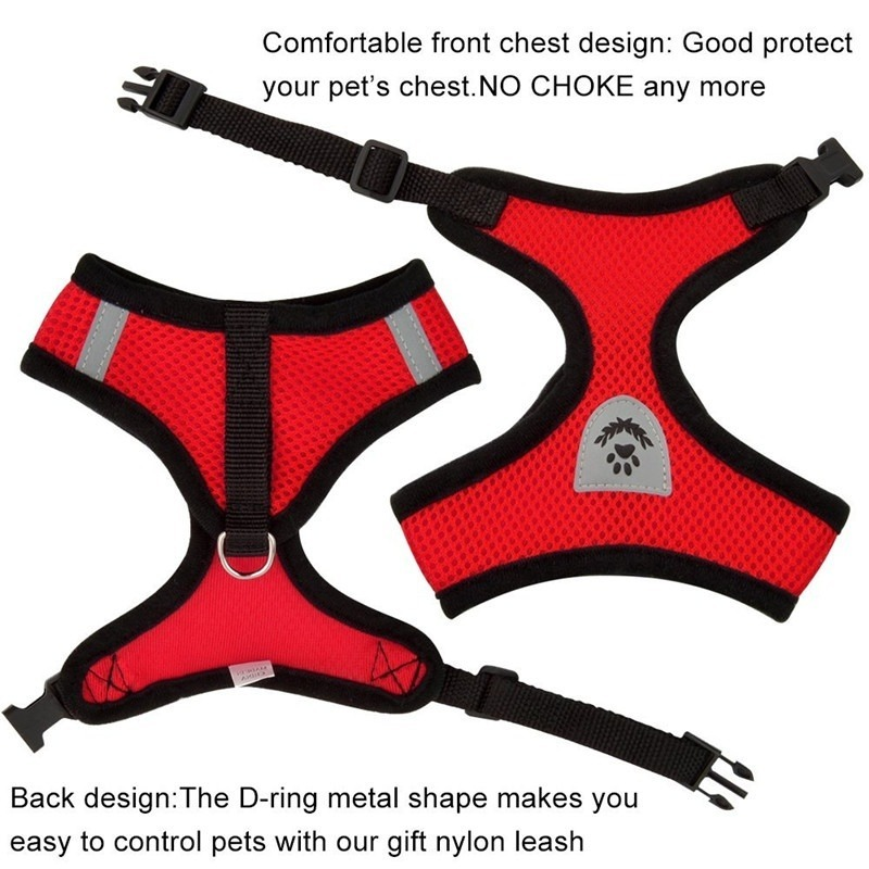 Adjustable Pet Harness & Lead Leash Set