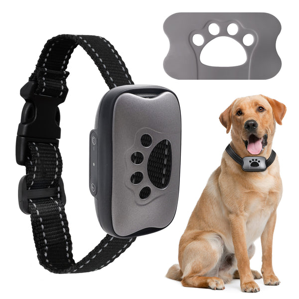 Ultrasonic Anti-Barking Dog Training Device - Handheld Trainer