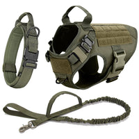 Heavy-Duty Tactical Pet Harness & Leash Set