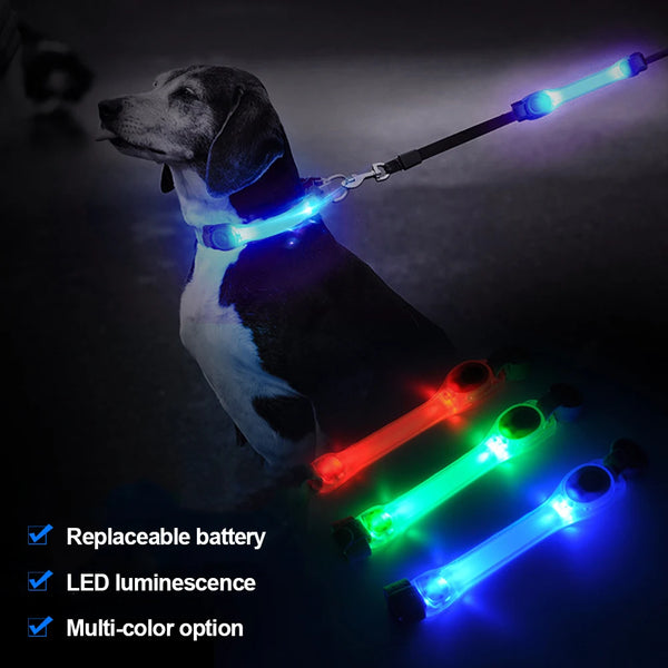 Waterproof LED Light-Up Dog Collar - Night Safety Collar