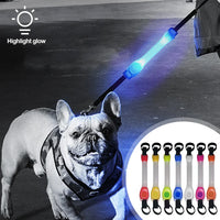 Waterproof LED Light-Up Dog Collar - Night Safety Collar