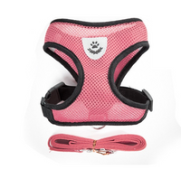Adjustable Pet Harness & Lead Leash Set