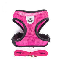 Adjustable Pet Harness & Lead Leash Set