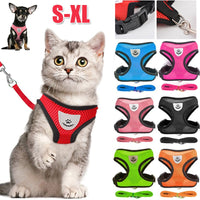 Adjustable Pet Harness & Lead Leash Set
