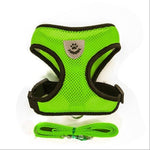 Adjustable Pet Harness & Lead Leash Set