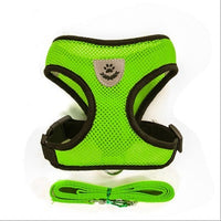 Adjustable Pet Harness & Lead Leash Set