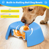 Slow Feeder Dog Bowl & Lick Mat Combo