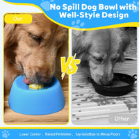 Slow Feeder Dog Bowl & Lick Mat Combo
