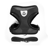 Adjustable Pet Harness & Lead Leash Set