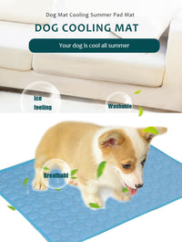 Extra Large Summer Pet Cooling Mat & Ice Blanket