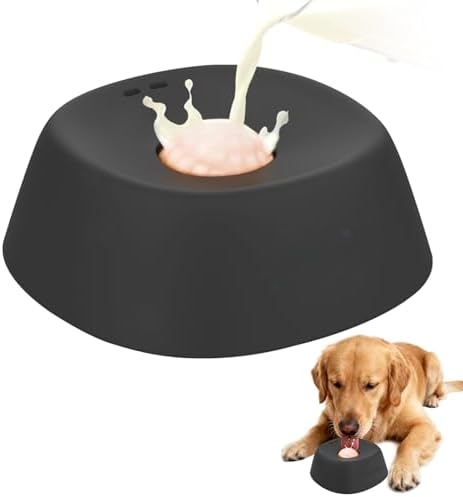 Slow Feeder Dog Bowl & Lick Mat Combo