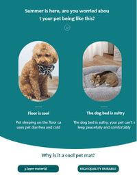 Extra Large Summer Pet Cooling Mat & Ice Blanket