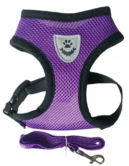 Adjustable Pet Harness & Lead Leash Set