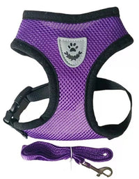 Adjustable Pet Harness & Lead Leash Set