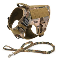 Heavy-Duty Tactical Pet Harness & Leash Set