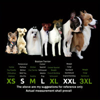Water-Resistant Outdoor Dog Rain Boots (4 Pack)
