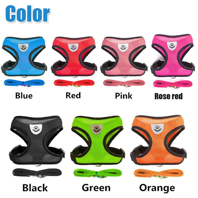 Adjustable Pet Harness & Lead Leash Set