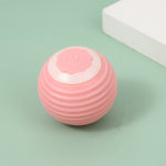 Interactive Magic Roller Ball Toy - Automatic Bouncing Dog Toy