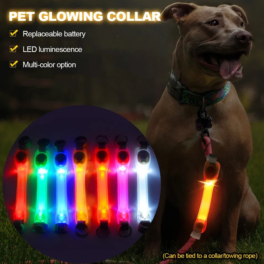 Waterproof LED Light-Up Dog Collar - Night Safety Collar
