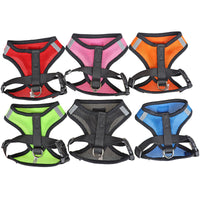 Adjustable Pet Harness & Lead Leash Set