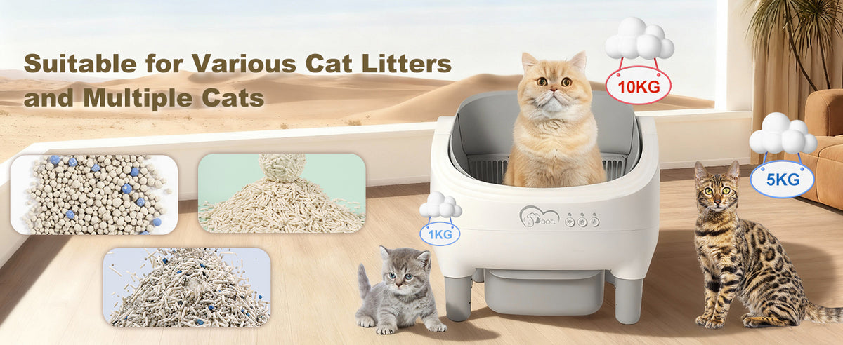 Smart Open-Top Self-Cleaning Cat Litter Box