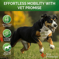 Mobility & Hip Joint Glucosamine Chews for Dogs – 2 Pack